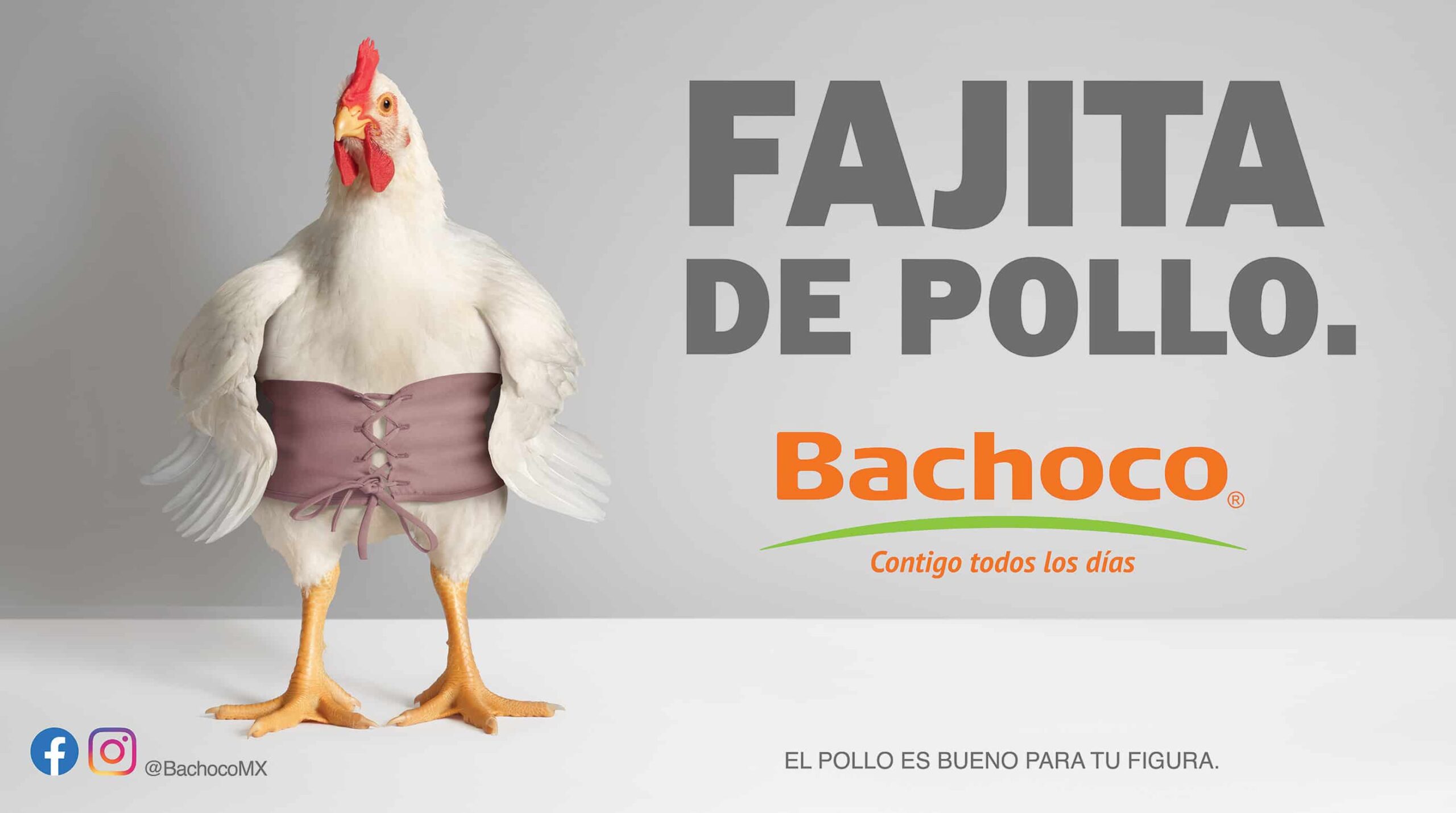BACHOCO